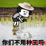 “遇事不要慌，先种田发育”！《诗意中国》探