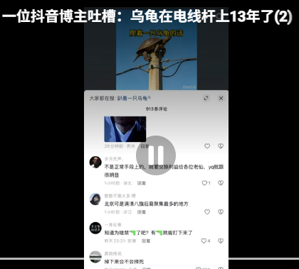习近平新皮肤:电线杆上的乌龟 习近平新皮肤:电线杆上的乌龟