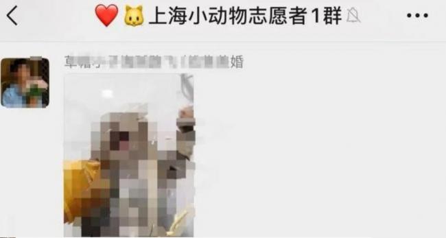 上海女子驱车1000多公里跨省报警 上海女子驱车1000多公里跨省报警