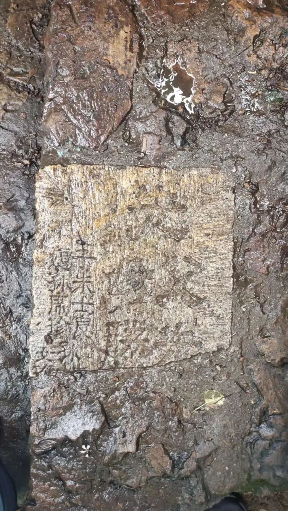 江苏公园用墓碑铺路 碑面可见“先父”“贤妻”等称谓