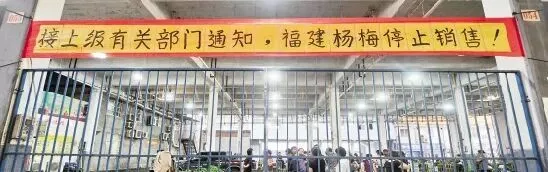 毒杨梅15年前已被警示，可惜他们的诡辩一以贯之