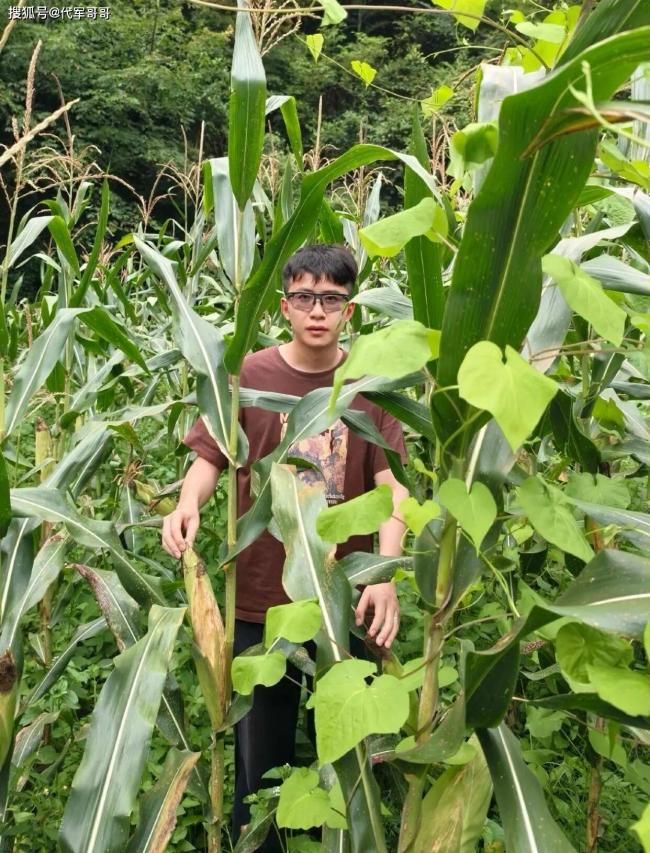 华为天才少年弃百万年薪回老家 真实原因太惋惜