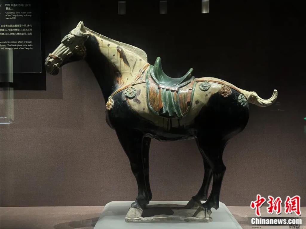 安菩是誰 隨葬洛陽唐三彩黑釉馬見證盛唐千年絲路。圖為安菩夫婦墓出土三彩黑釉馬。(中新社)